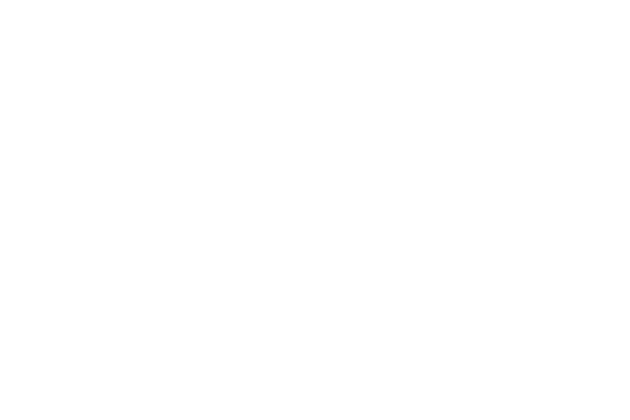 Main Logo